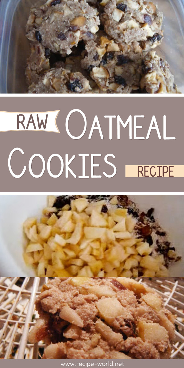 Raw Oatmeal Cookies Recipe