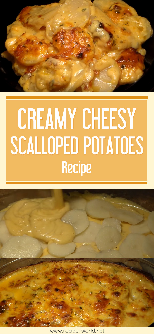 Creamy Cheesy Scalloped Potatoes Recipe