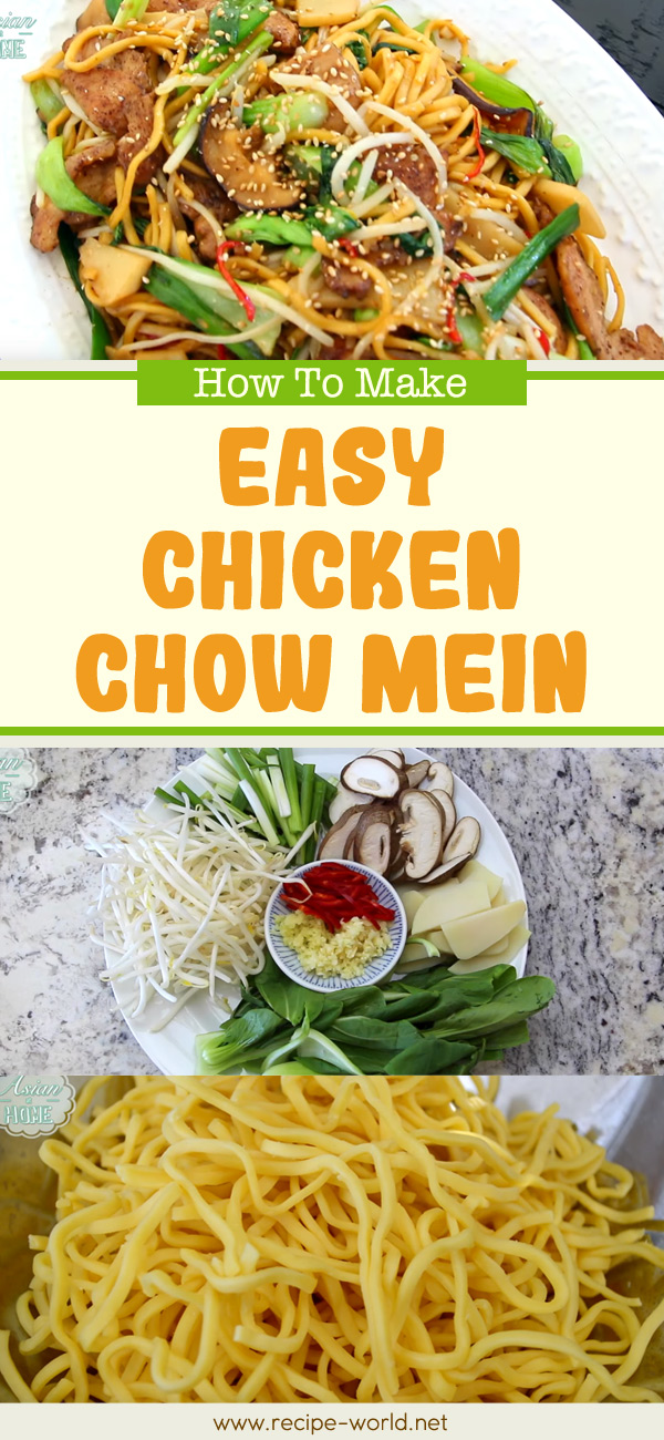 Easy Chicken Chow Mein - Asian At Home