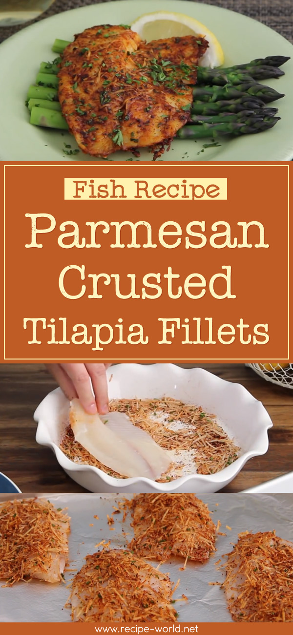 Fish Recipe - Parmesan Crusted Tilapia Fillets