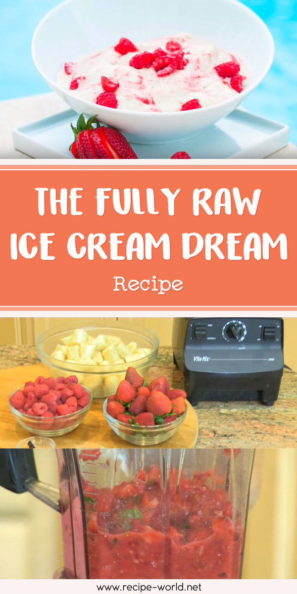 The FullyRaw Ice Cream Dream